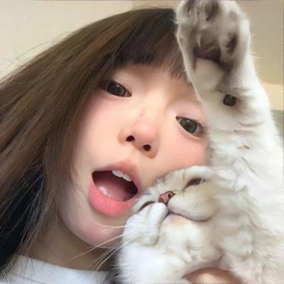 最美丽的安排